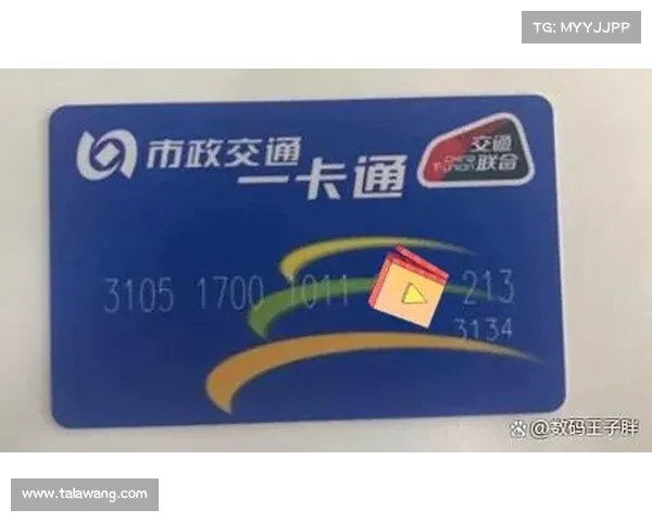 提升TomTom定位服务效率的五大实用技巧助你畅行无阻 提升TomTom定位服务效率的五大实用技巧助你畅行无阻